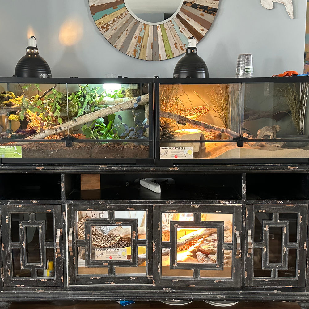 Reptile enclosure built into a repurposed furniture console