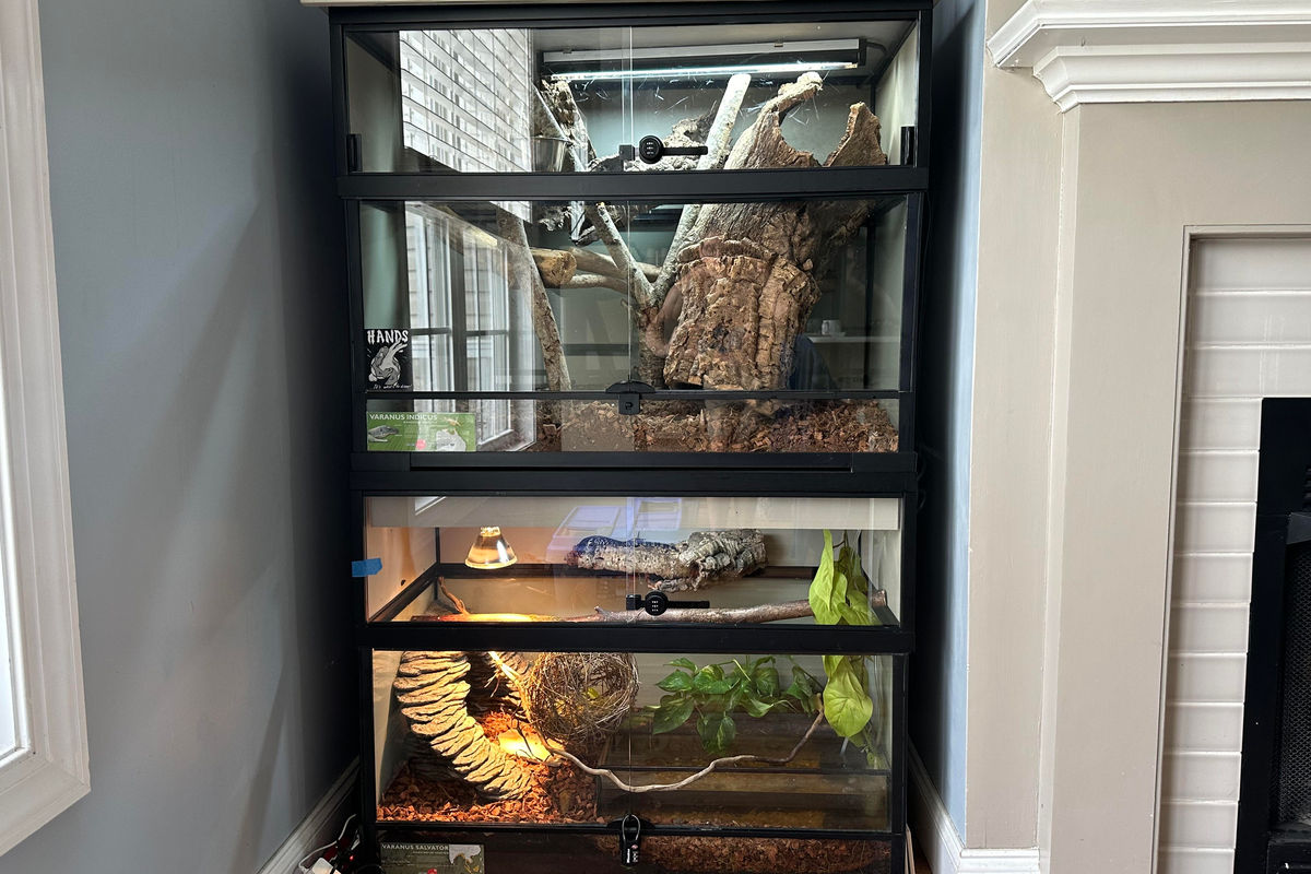 Stacked custom glass terrariums built into a home corner