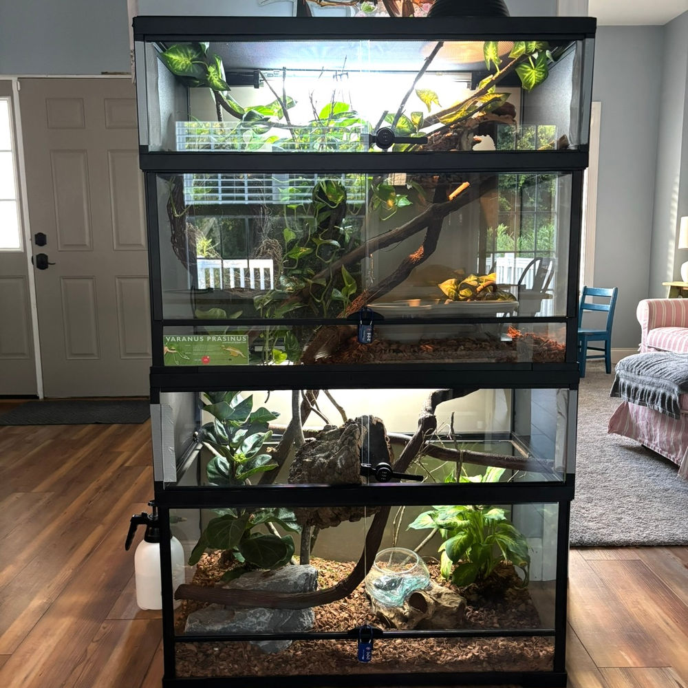 Custom five-foot terrarium build with naturalistic desert decor